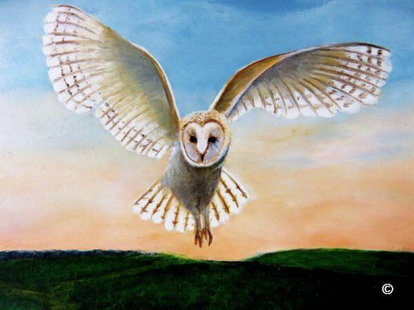 Detail of the original oil painting of "Upon the wings of twilight" featuring a barn owl hunting at dusk