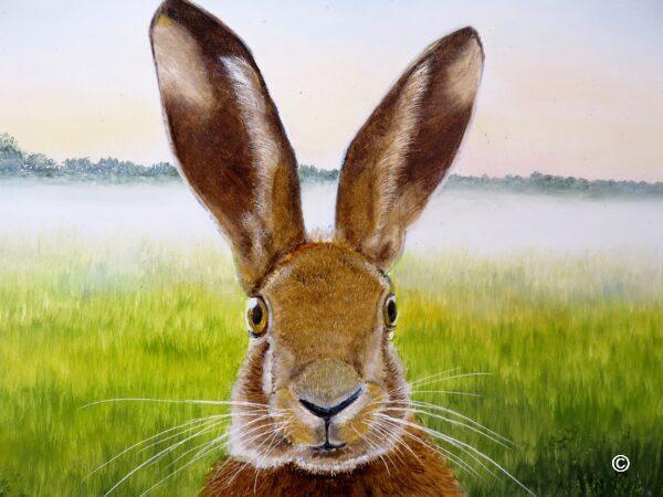 Hares looking at you (Harry) - Framed Original - Image 2