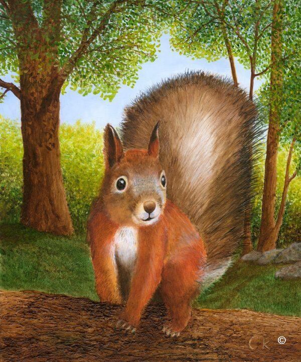 Bright eyed and bushy tailed (Cyril) - Print