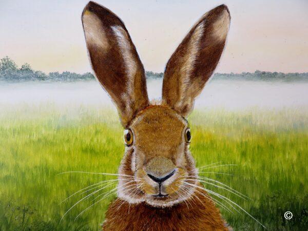 Hares looking at you (Harry) - Print