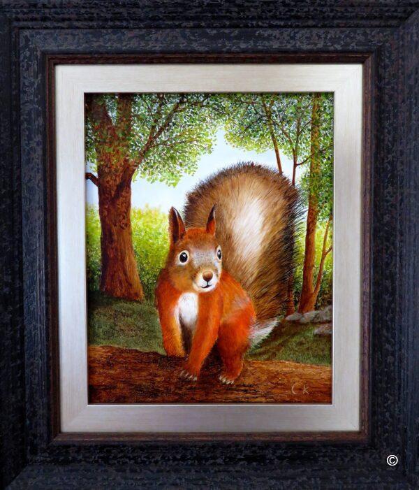 Bright eyed and bushy tailed (Cyril) - Framed Original