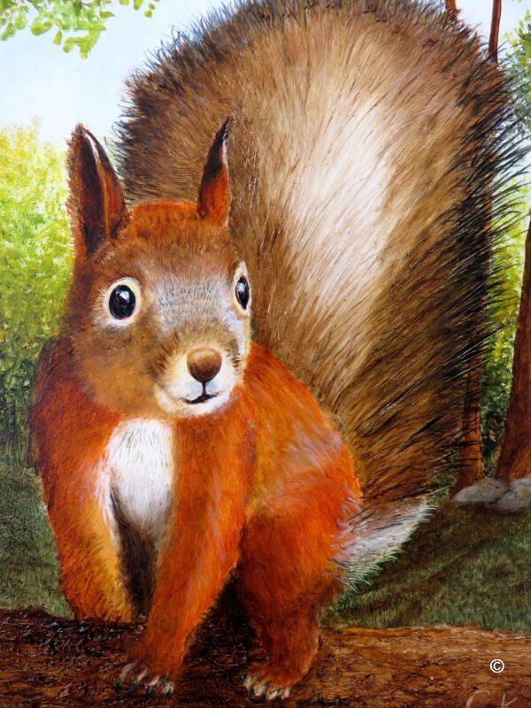 Bright eyed and bushy tailed (Cyril) - Print - Image 2